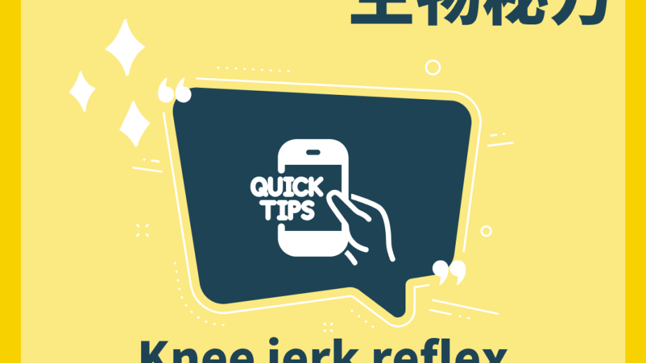 膝躍反射 Knee-jerk Reflex 反射弧步驟圖