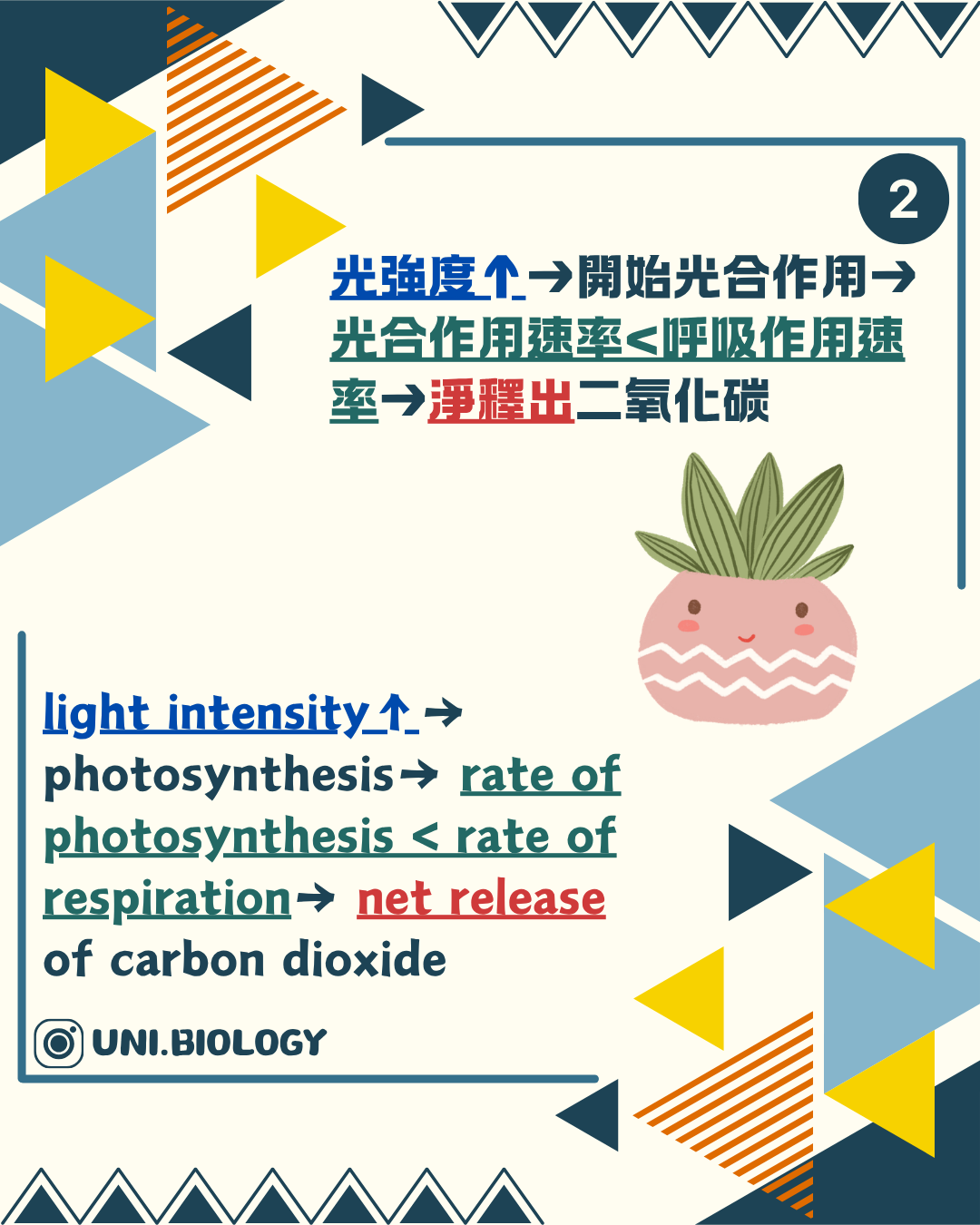 低光下光合作用速率低於呼吸作用而淨釋放二氧化碳