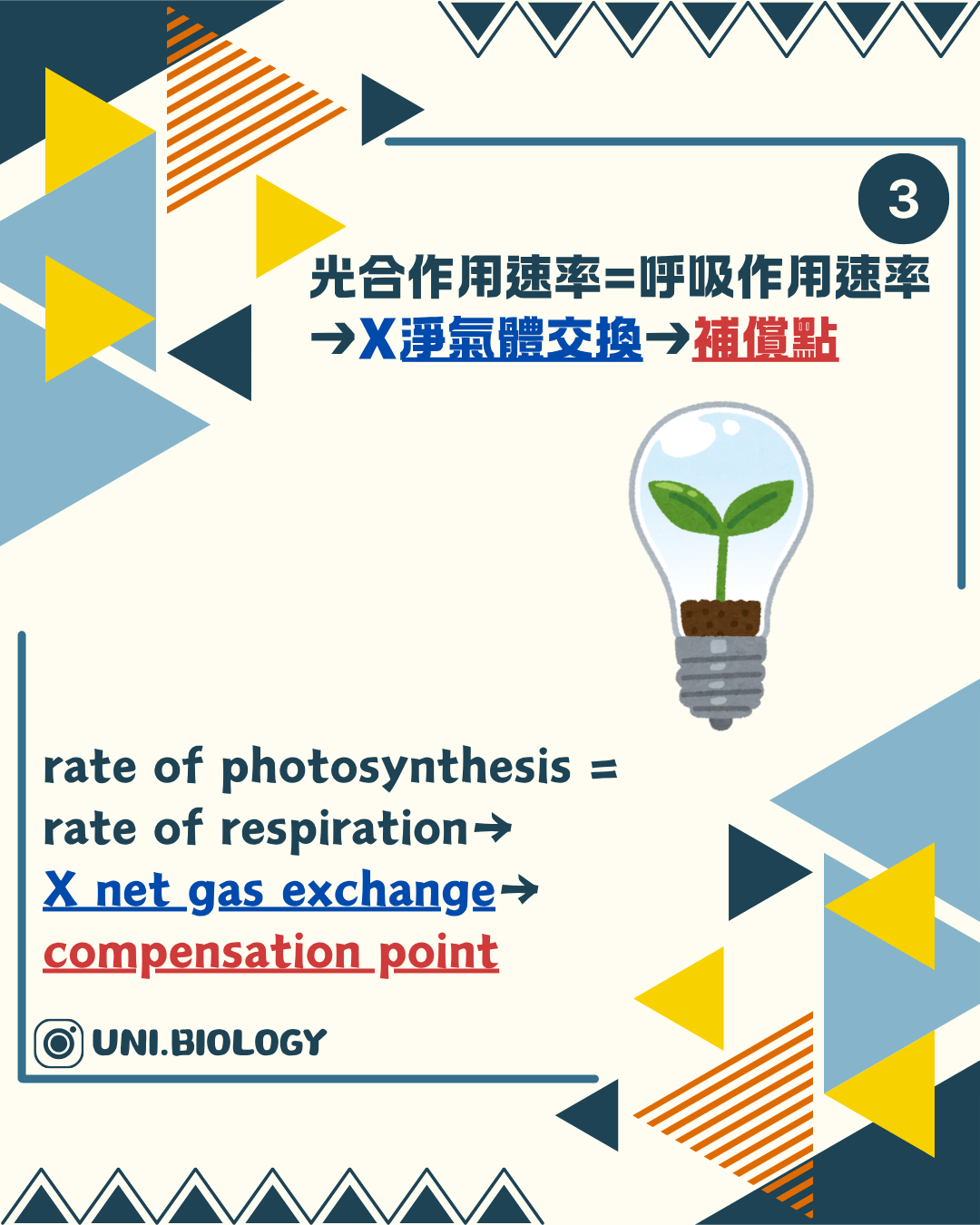 補償點時光合作用與呼吸作用速率相等並無淨氣體交換