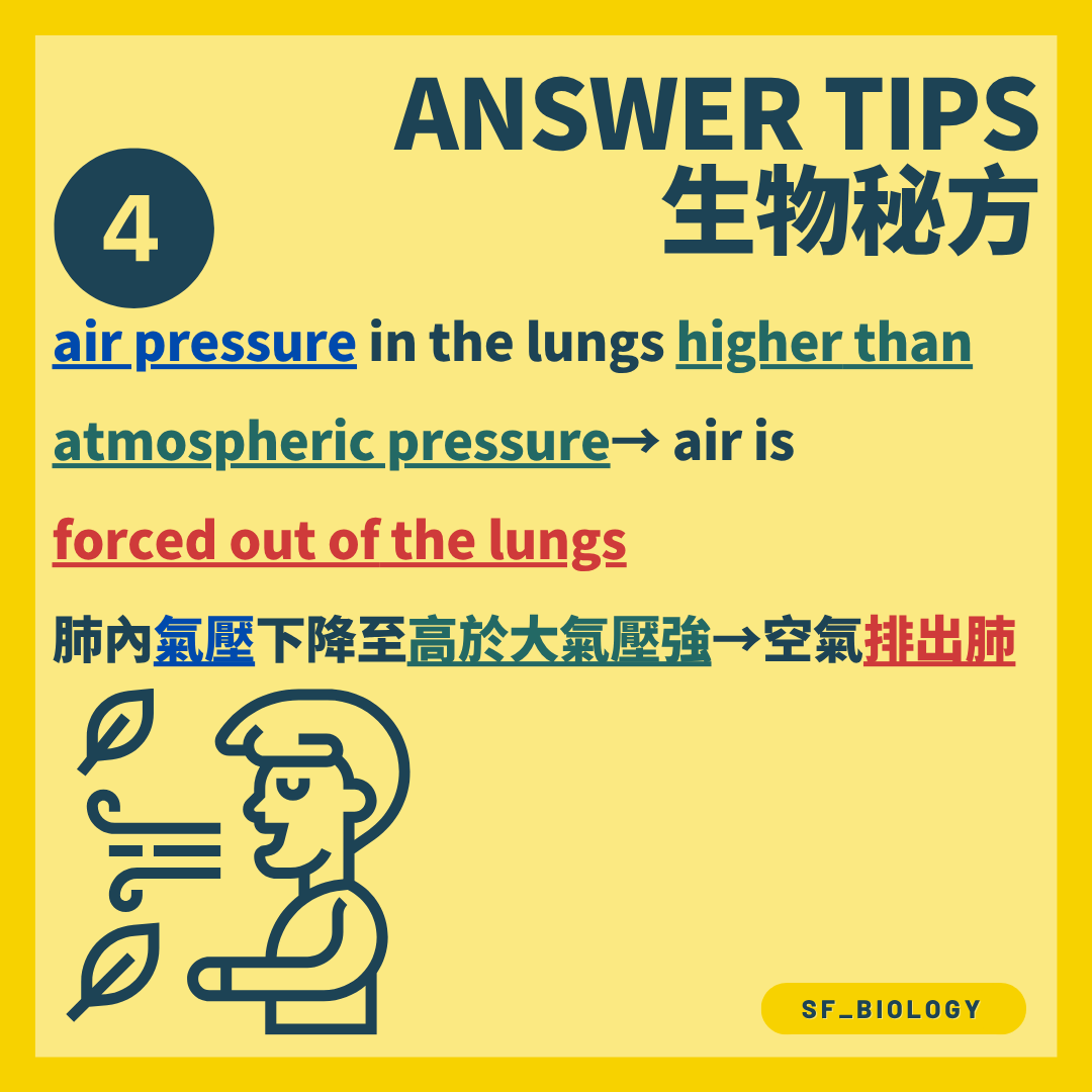 肺內氣壓高於大氣壓令空氣排出肺部
