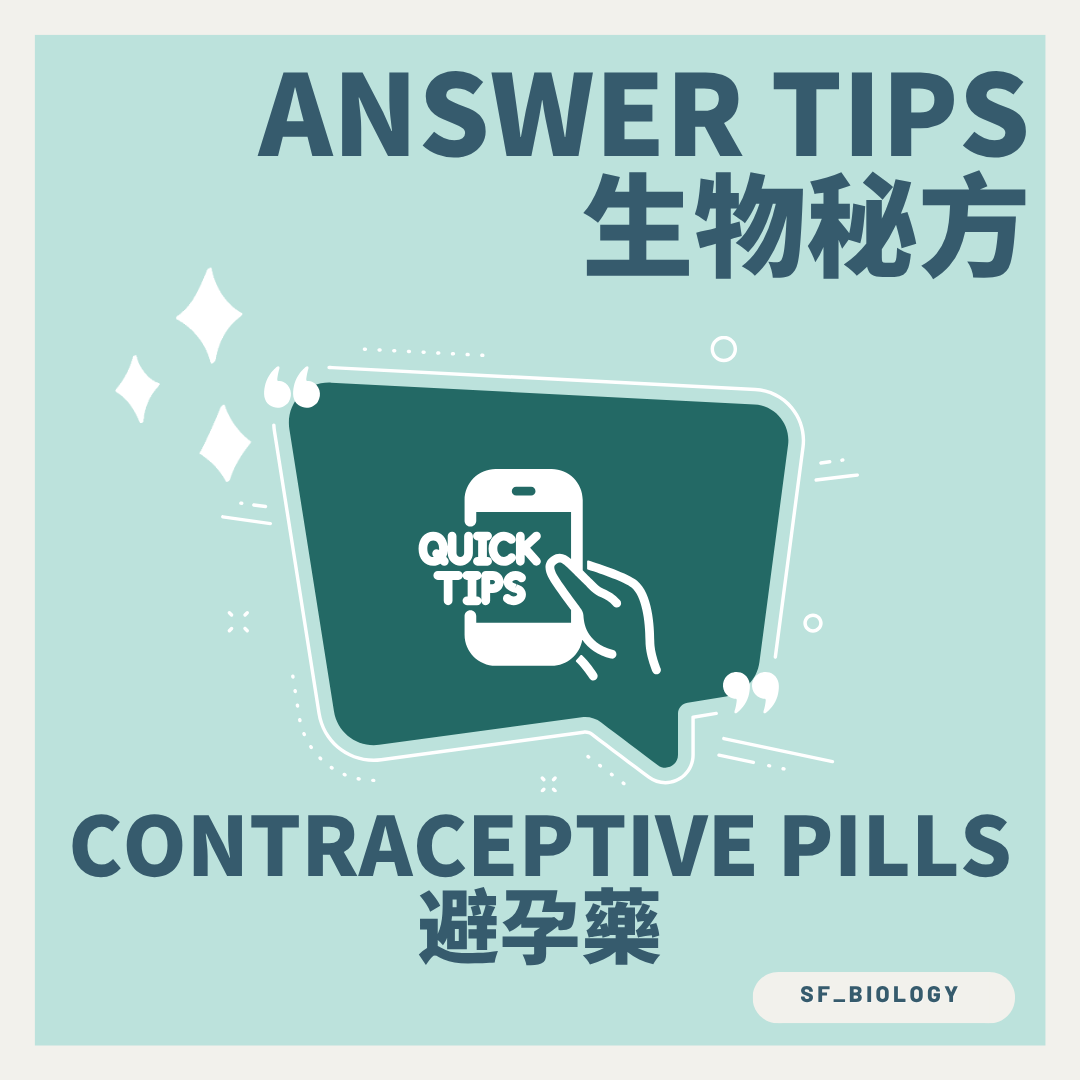 含雌激素及孕酮的避孕藥作用機制概念圖