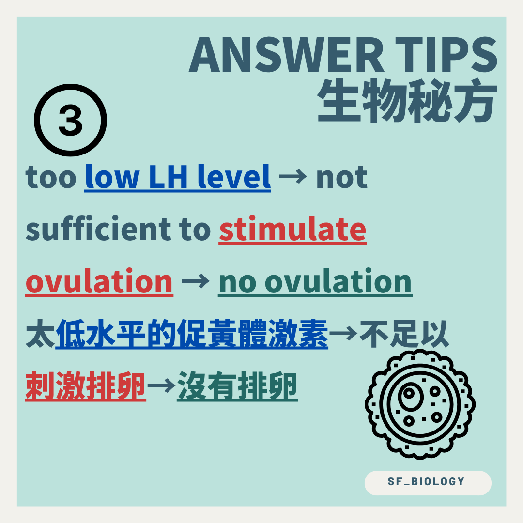 LH 水平不足不能觸發排卵