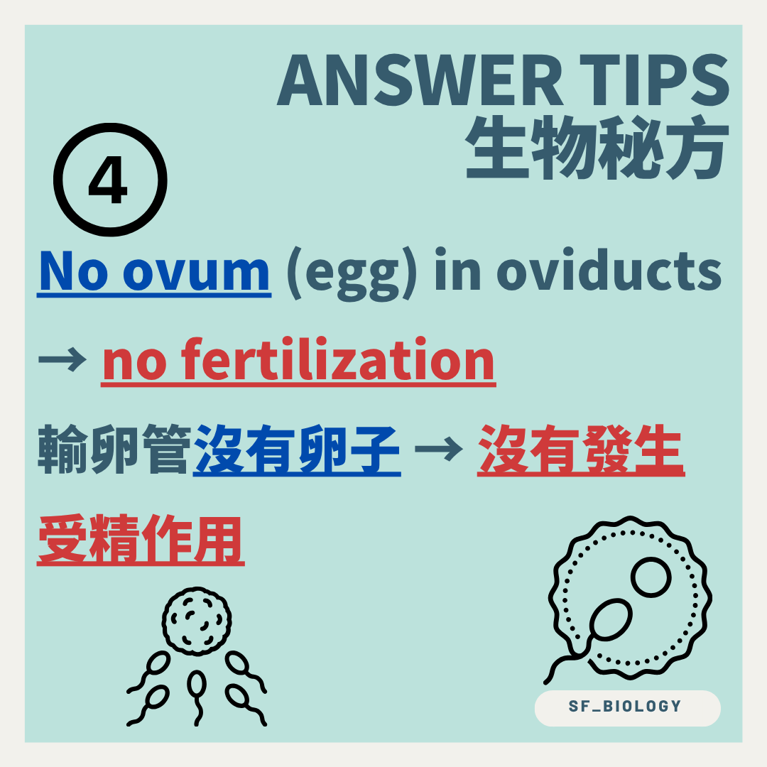 沒有卵子進入輸卵管因而不能發生受精