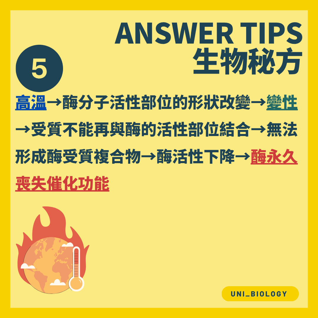 高溫改變酶活性部位形狀並造成變性