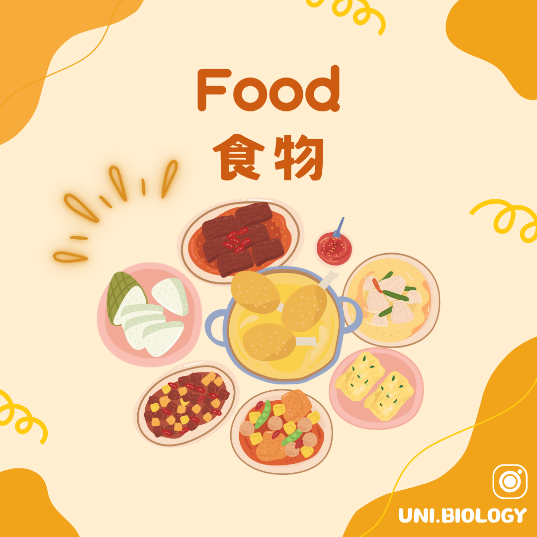 食物與七類營養素的 DSE Biology 概念圖