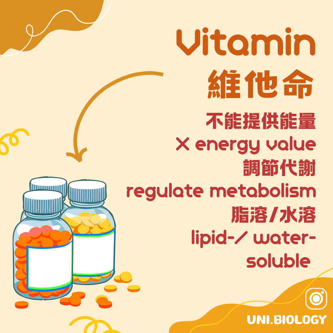 維他命分為脂溶性及水溶性並維持正常生理功能