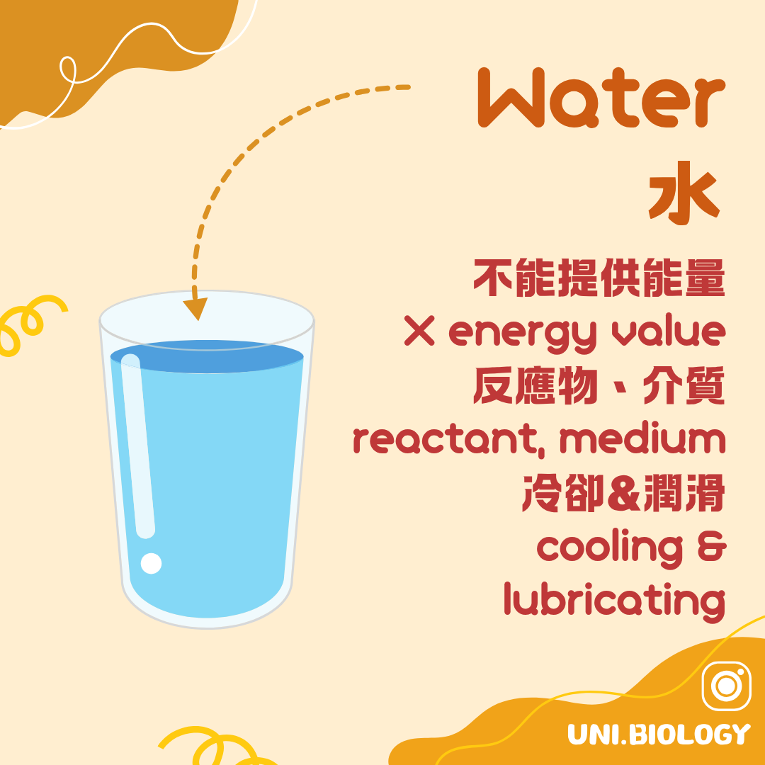水不供應能量但可作反應物介質冷卻劑及潤滑劑