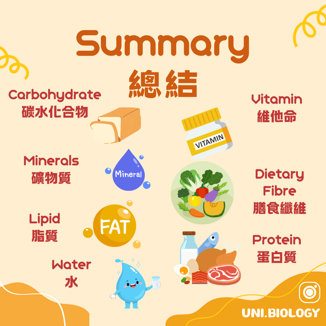 七類食物成分包括碳水化合物脂質蛋白質礦物質維他命纖維及水