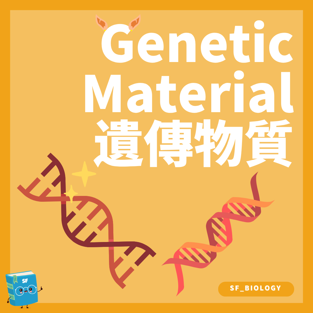DNA RNA 與蛋白質合成的遺傳物質概念圖