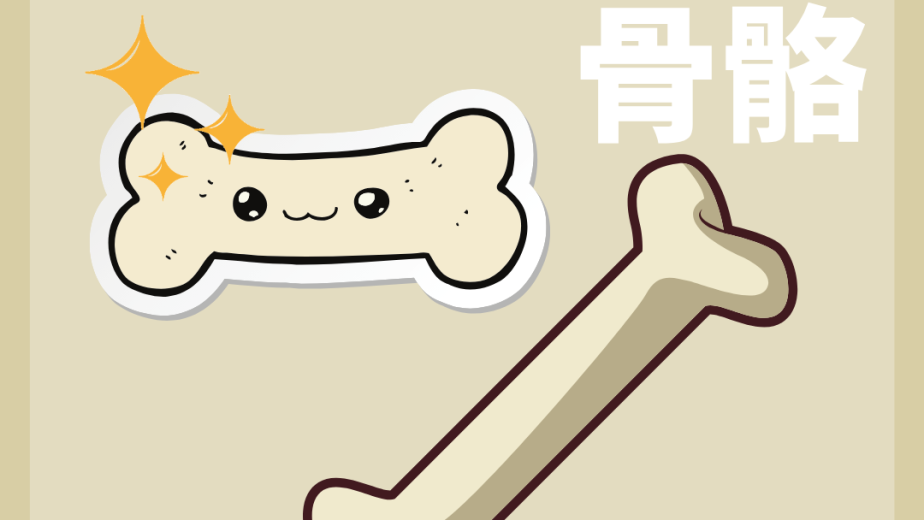 長骨與骨骼結構的 DSE Biology 概念圖