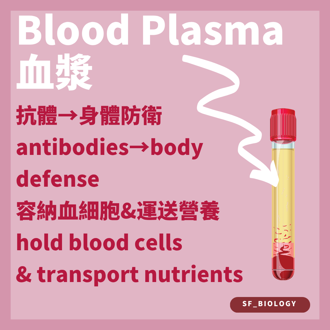 血漿運送營養素激素廢物抗體及血細胞