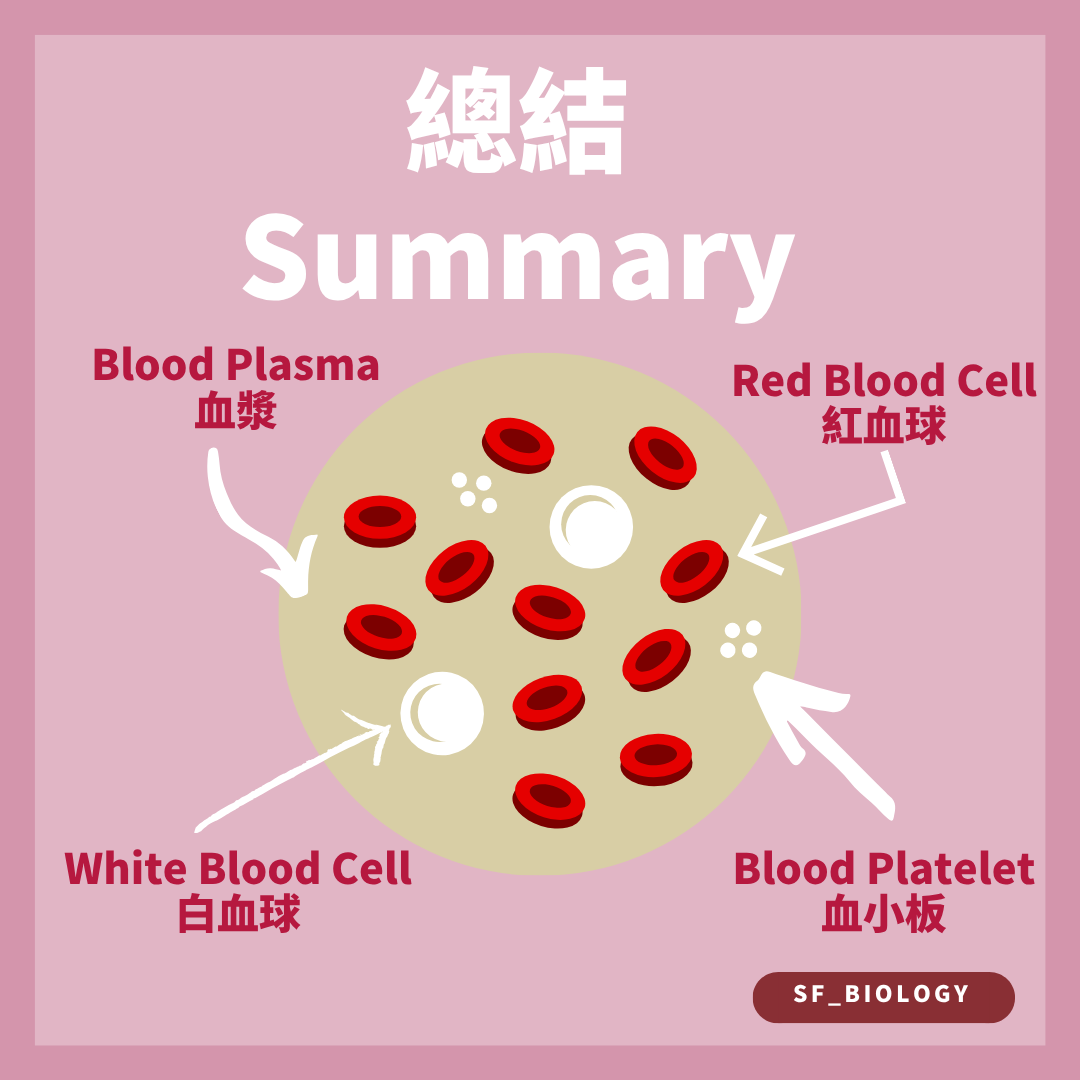 血液由血漿紅血球白血球及血小板組成的總結圖