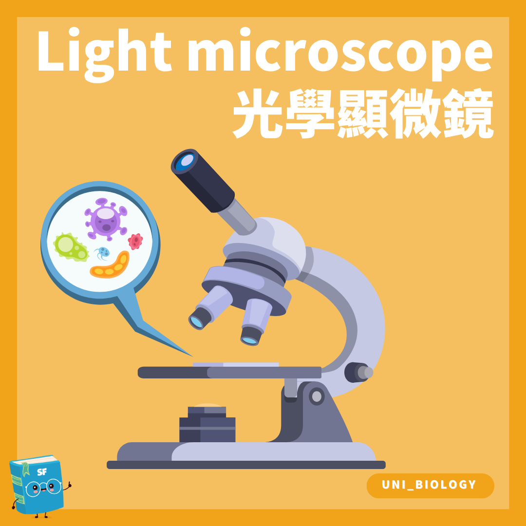 光學顯微鏡主要部件與對焦方法概念圖