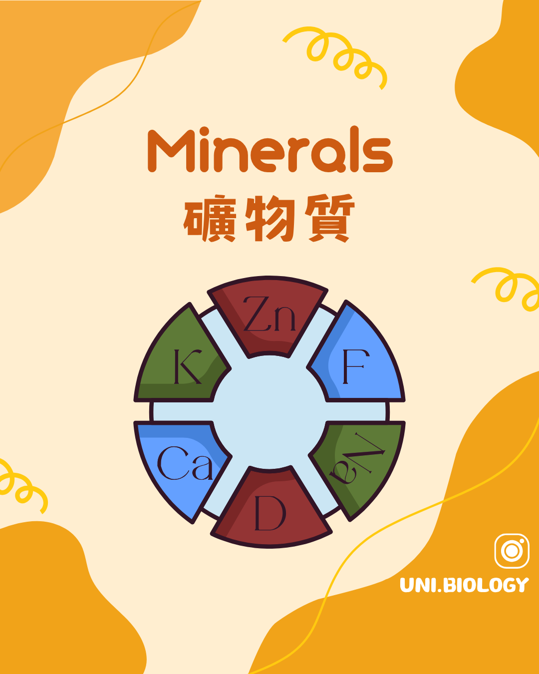 植物氮磷鉀鎂四種礦物營養元素概念圖