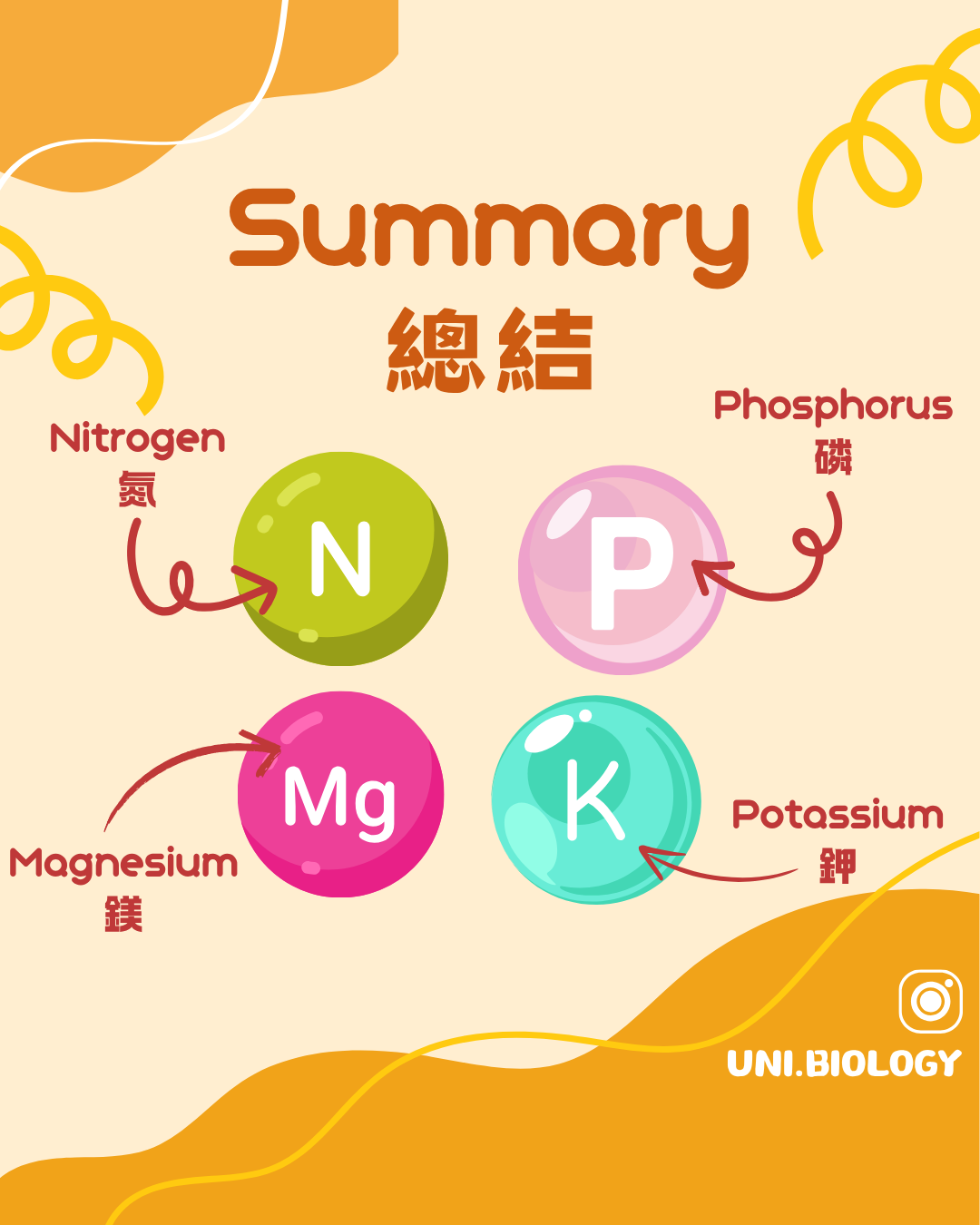 植物氮磷鉀鎂礦物營養功能總結