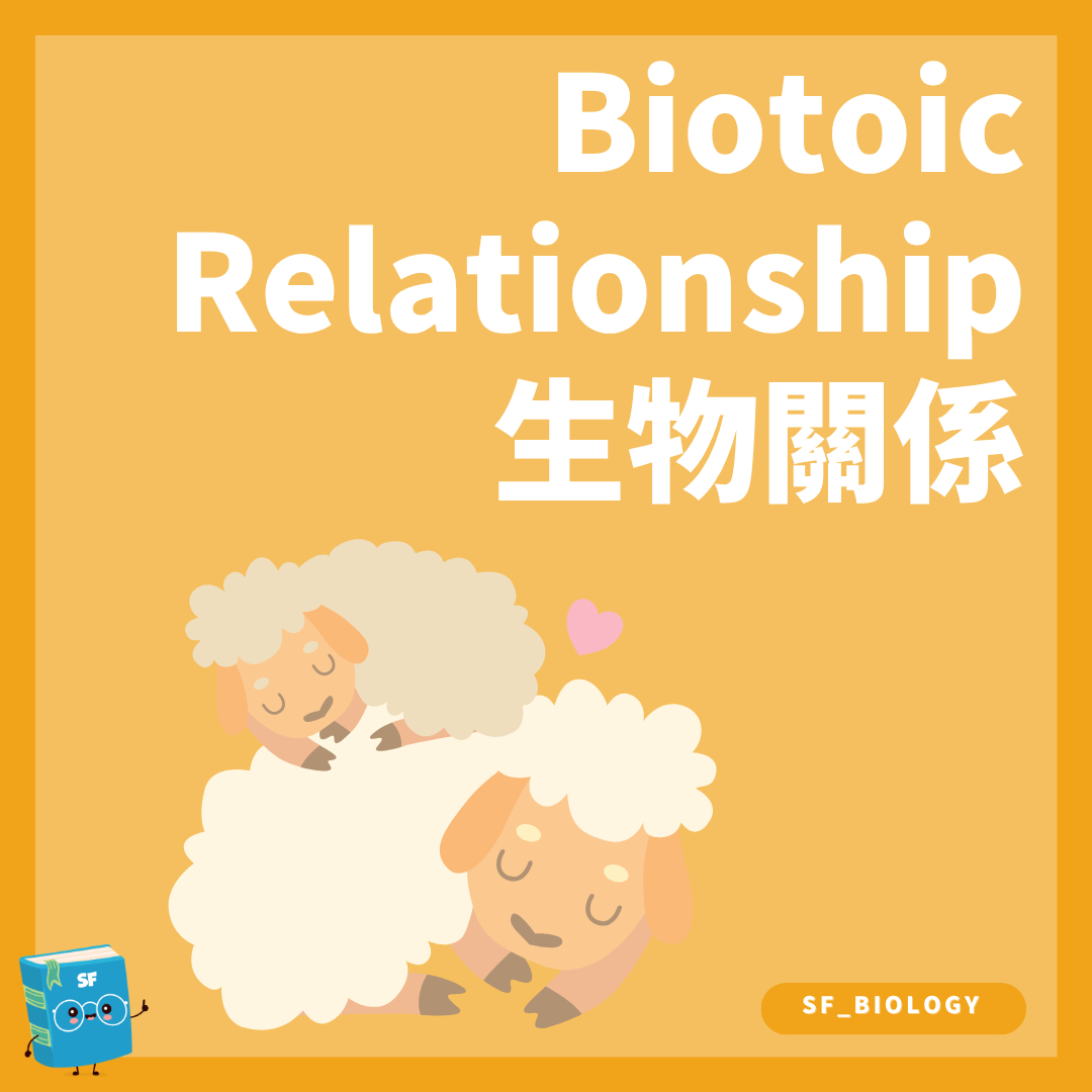 生態系中不同物種生物關係概念圖