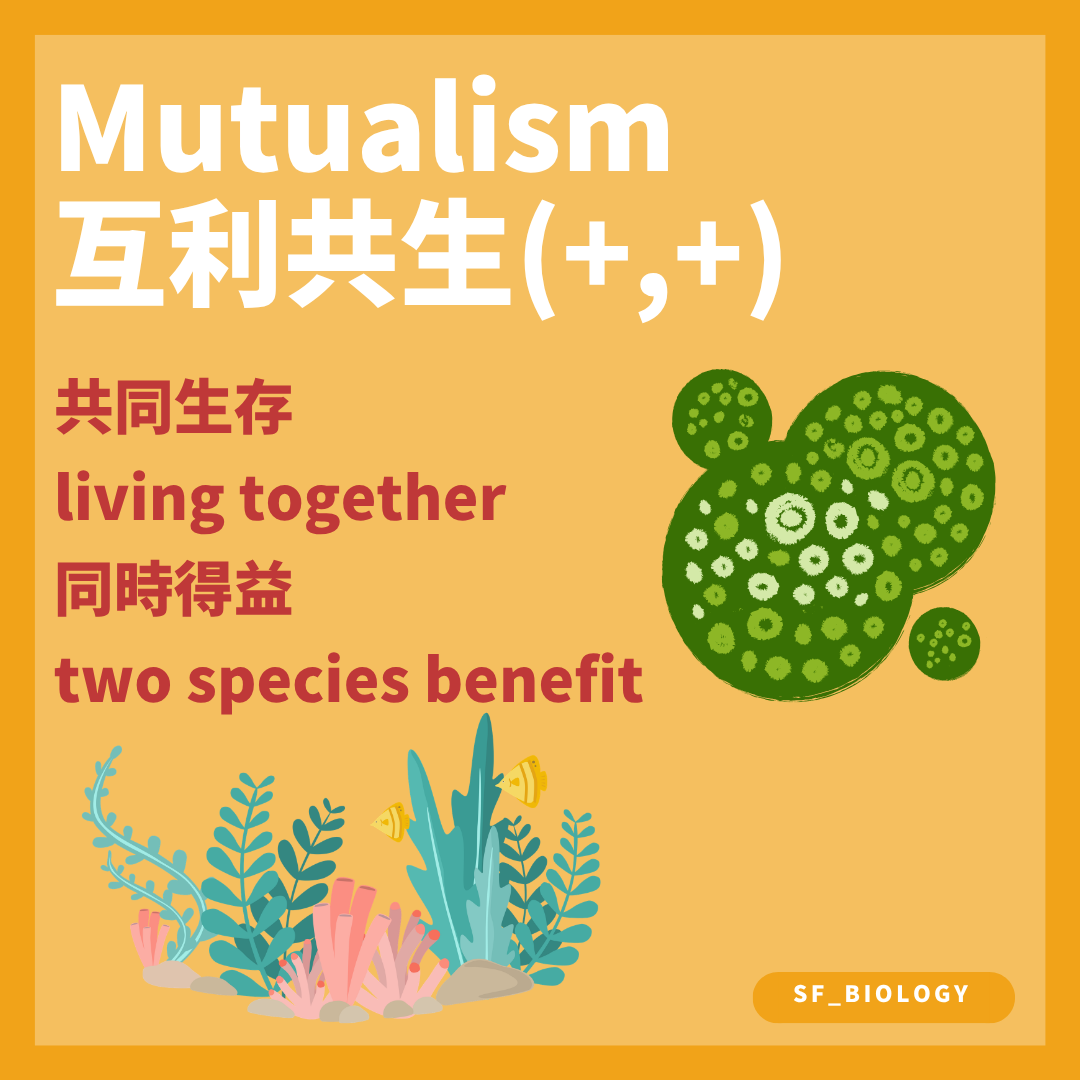 互利共生令兩個物種都獲得淨利益