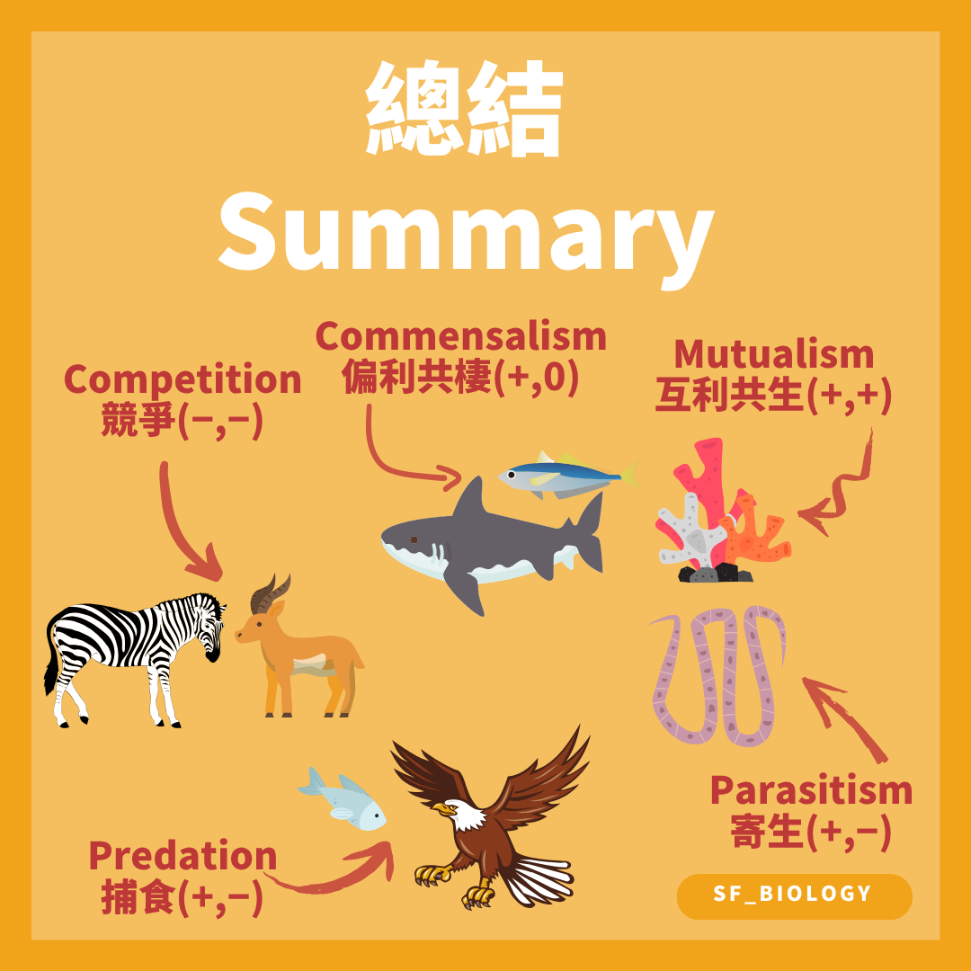 捕食競爭偏利共棲互利共生及寄生符號總結