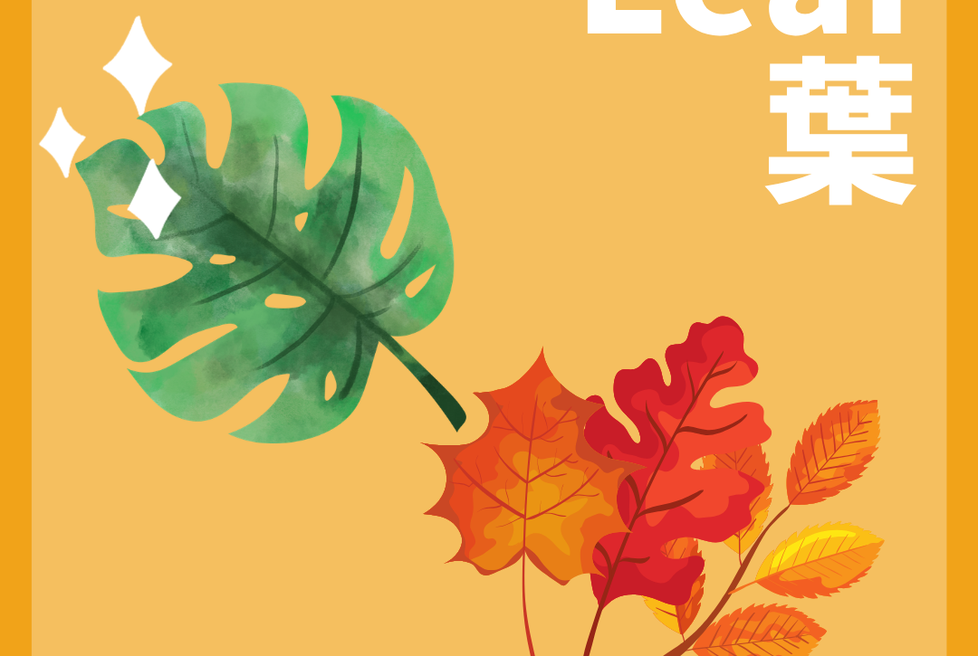 不同形態葉片與葉的基本結構概念圖