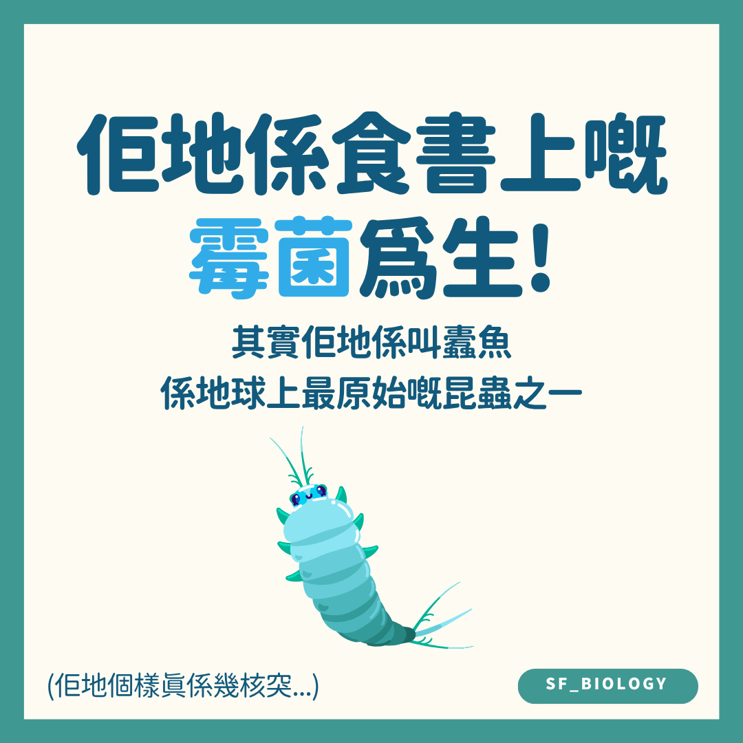 衣魚取食紙張黏合劑中澱粉質物料的原因