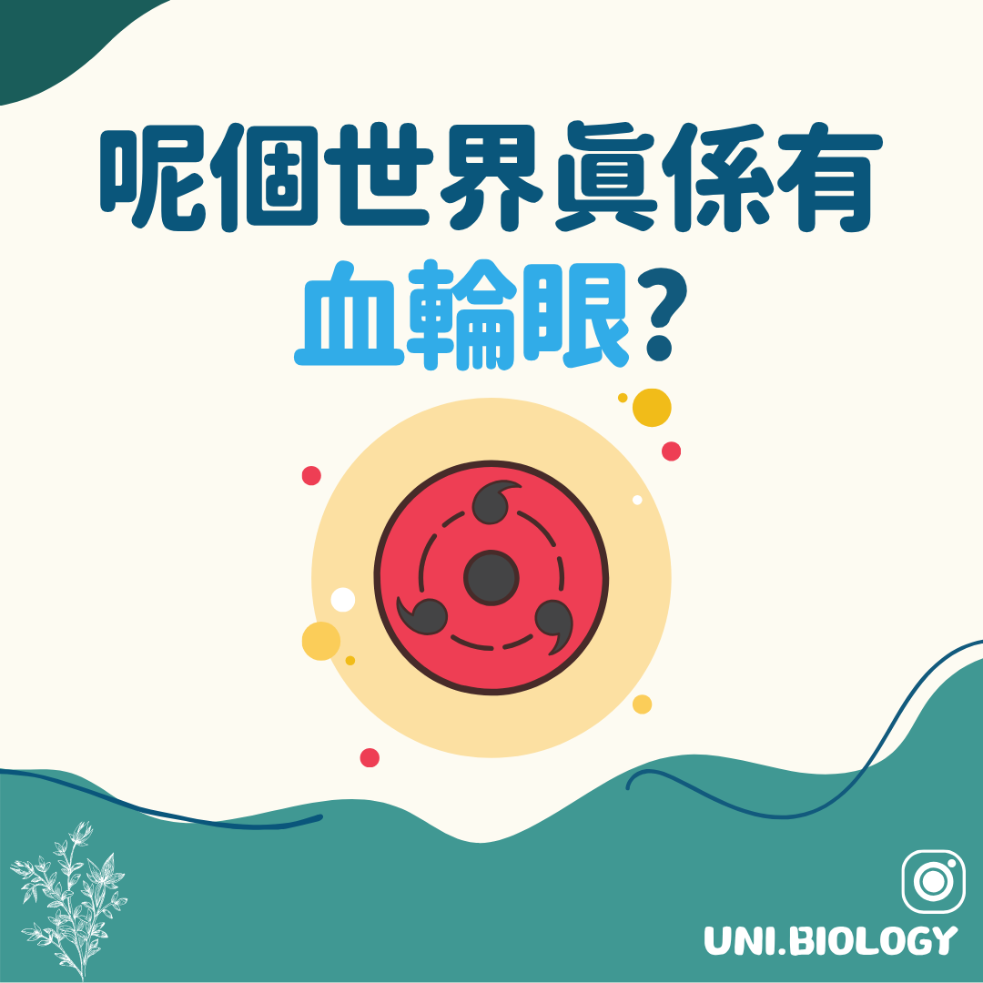 角蜥是否擁有血輪眼的趣味提問插圖