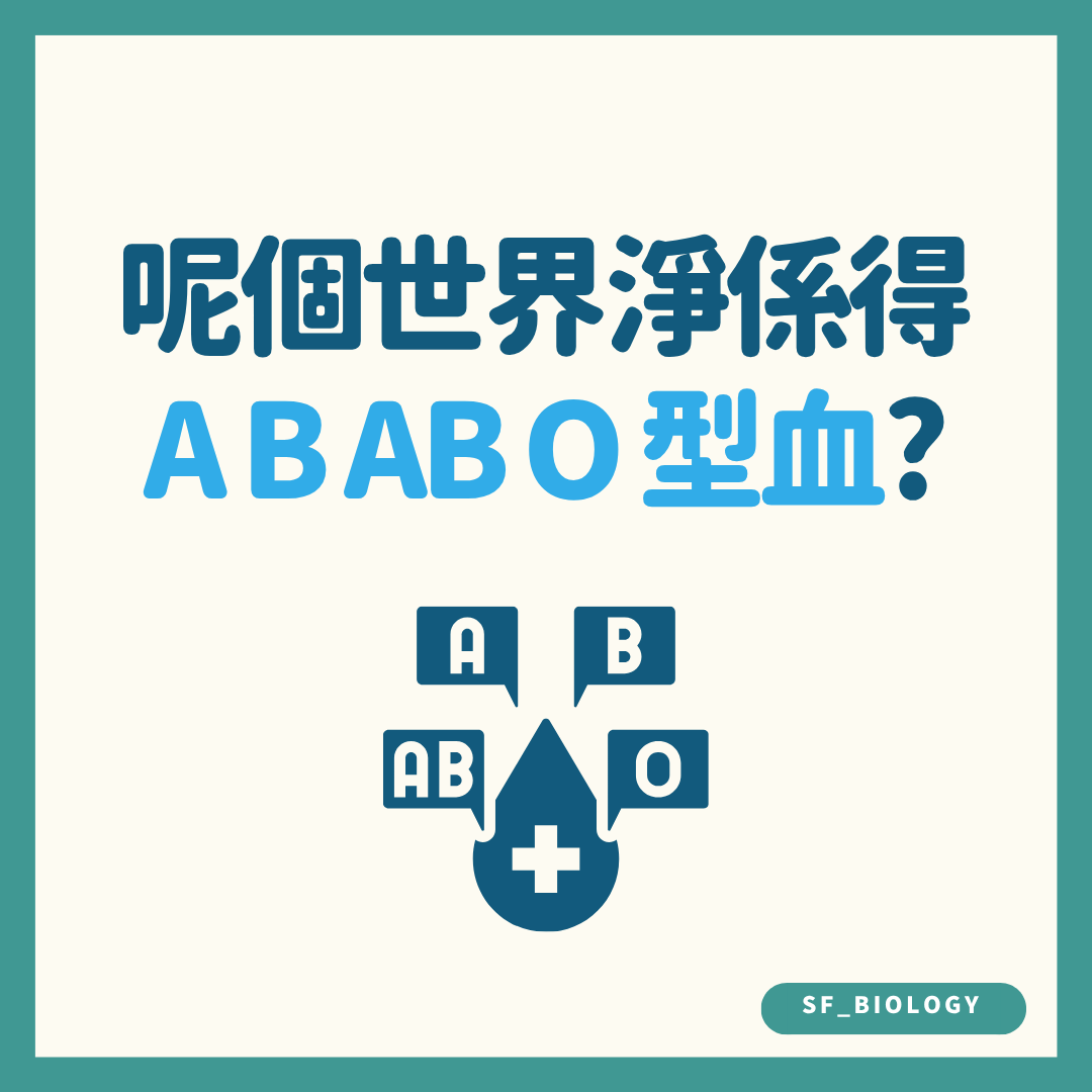 世界是否只有ABO四種血型的趣味提問插圖