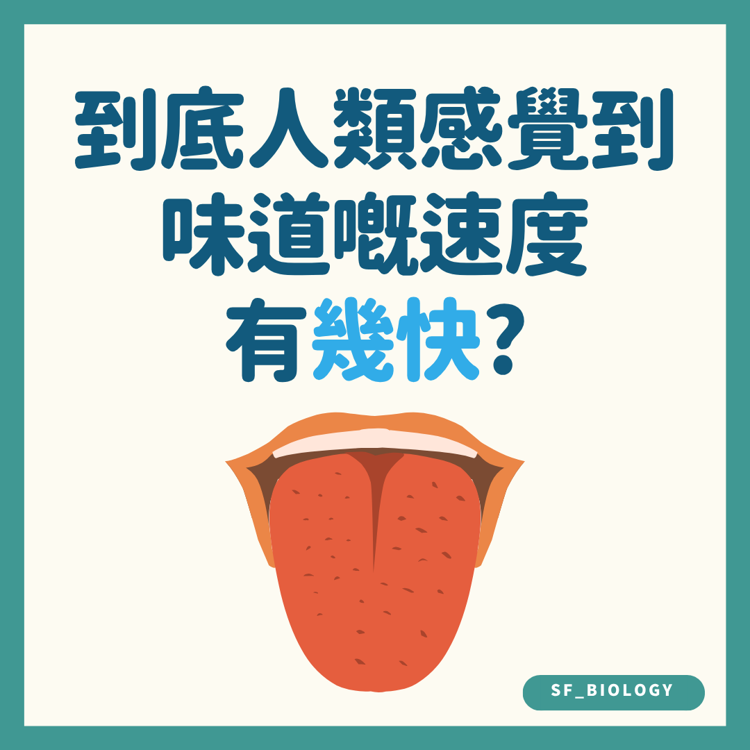 人類感覺味道速度有多快的趣味提問插圖