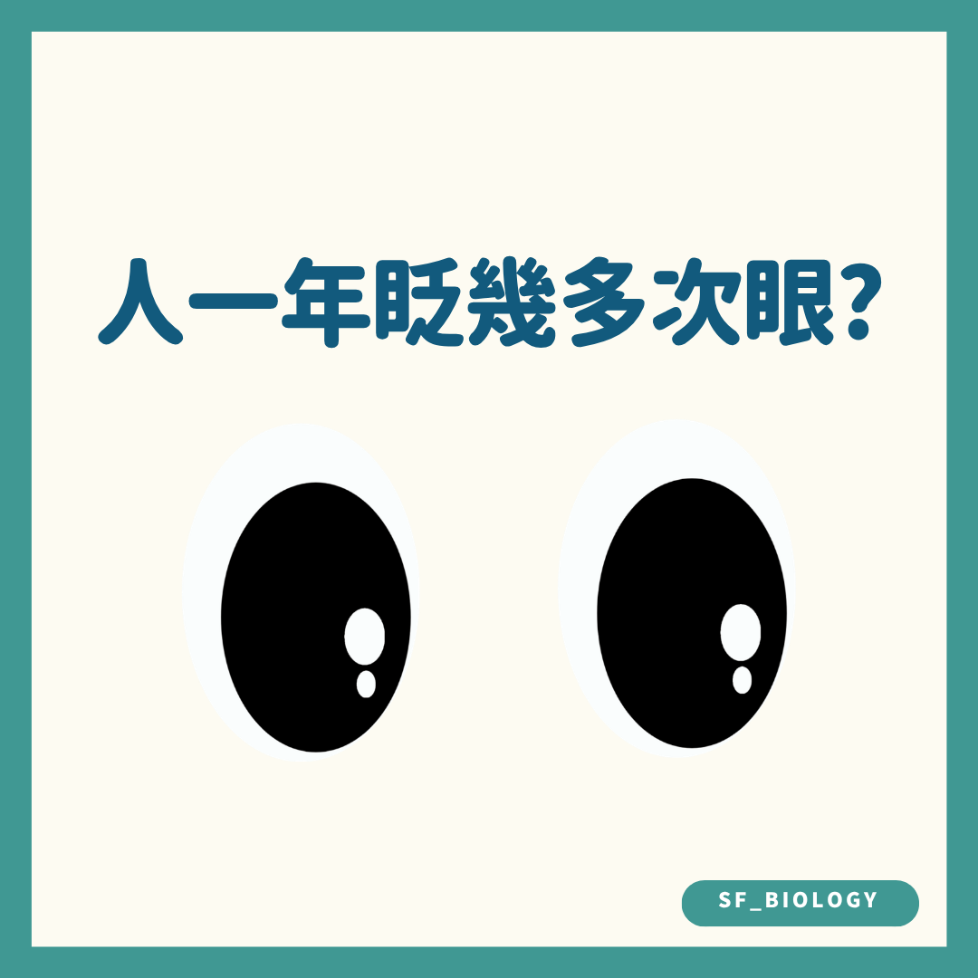 人一年眨多少次眼的趣味提問插圖