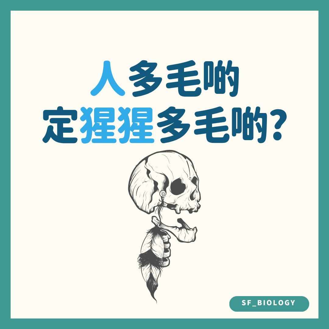 人類是否與猩猩一樣多毛的趣味提問插圖