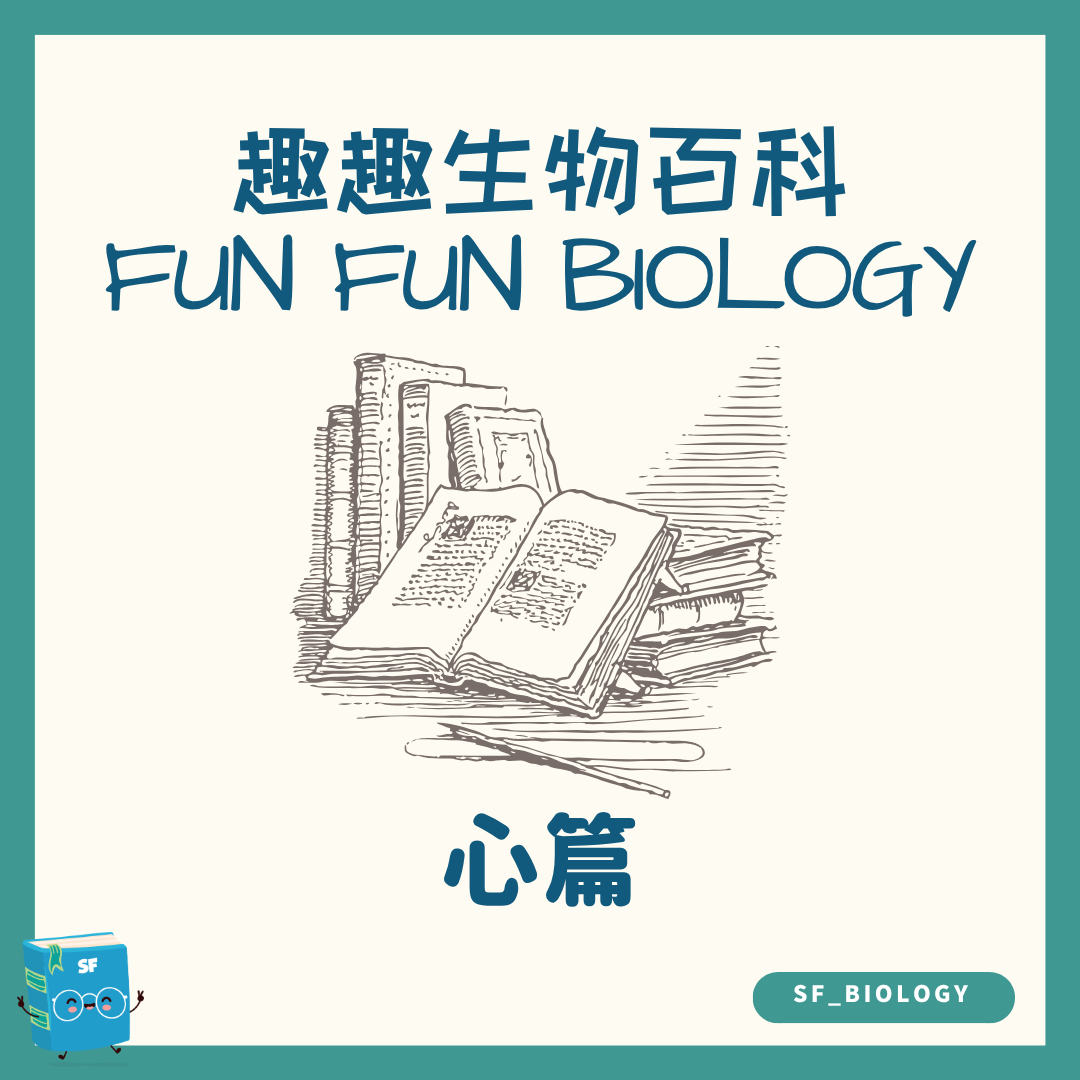 趣趣生物百科心臟重量主題封面