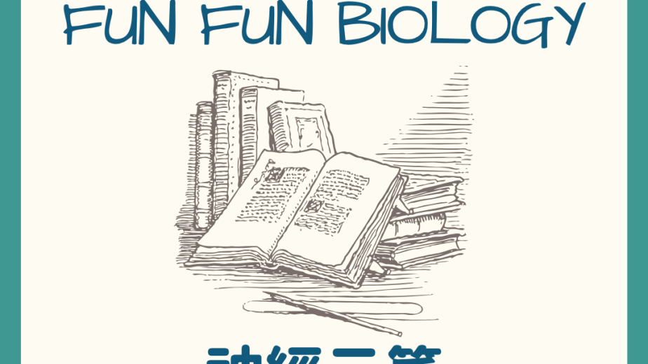 趣趣生物百科人腦神經元主題封面