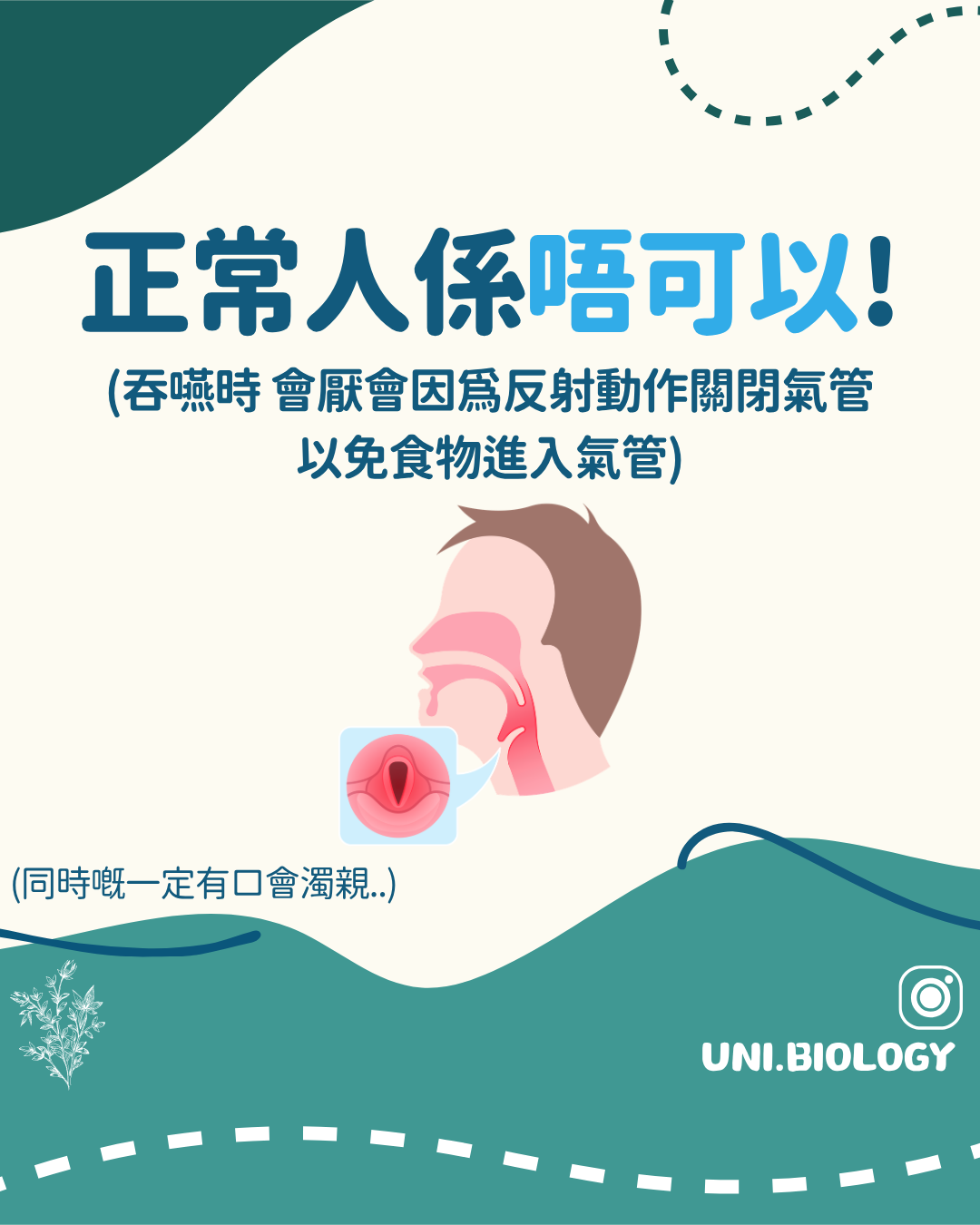 吞嚥時喉部關閉與氣道保護反射示意