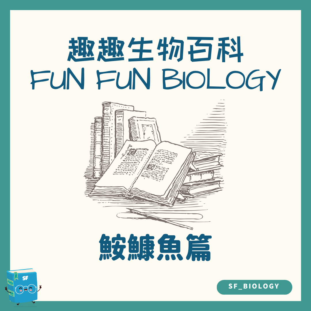 趣趣生物百科深海鮟鱇魚主題封面