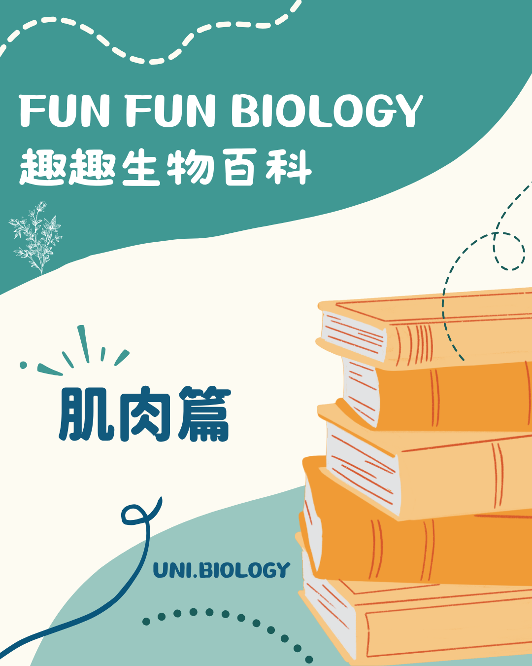 趣趣生物百科肌肉名稱語源主題封面