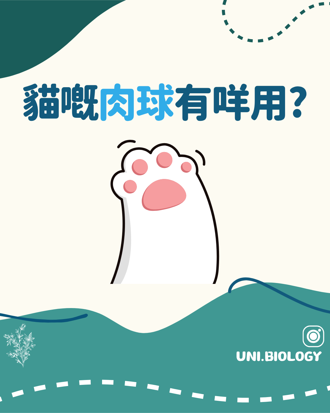 貓咪肉球有甚麼用途的趣味提問插圖