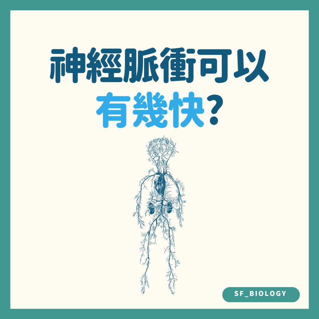 神經脈衝傳導有多快的趣味提問插圖