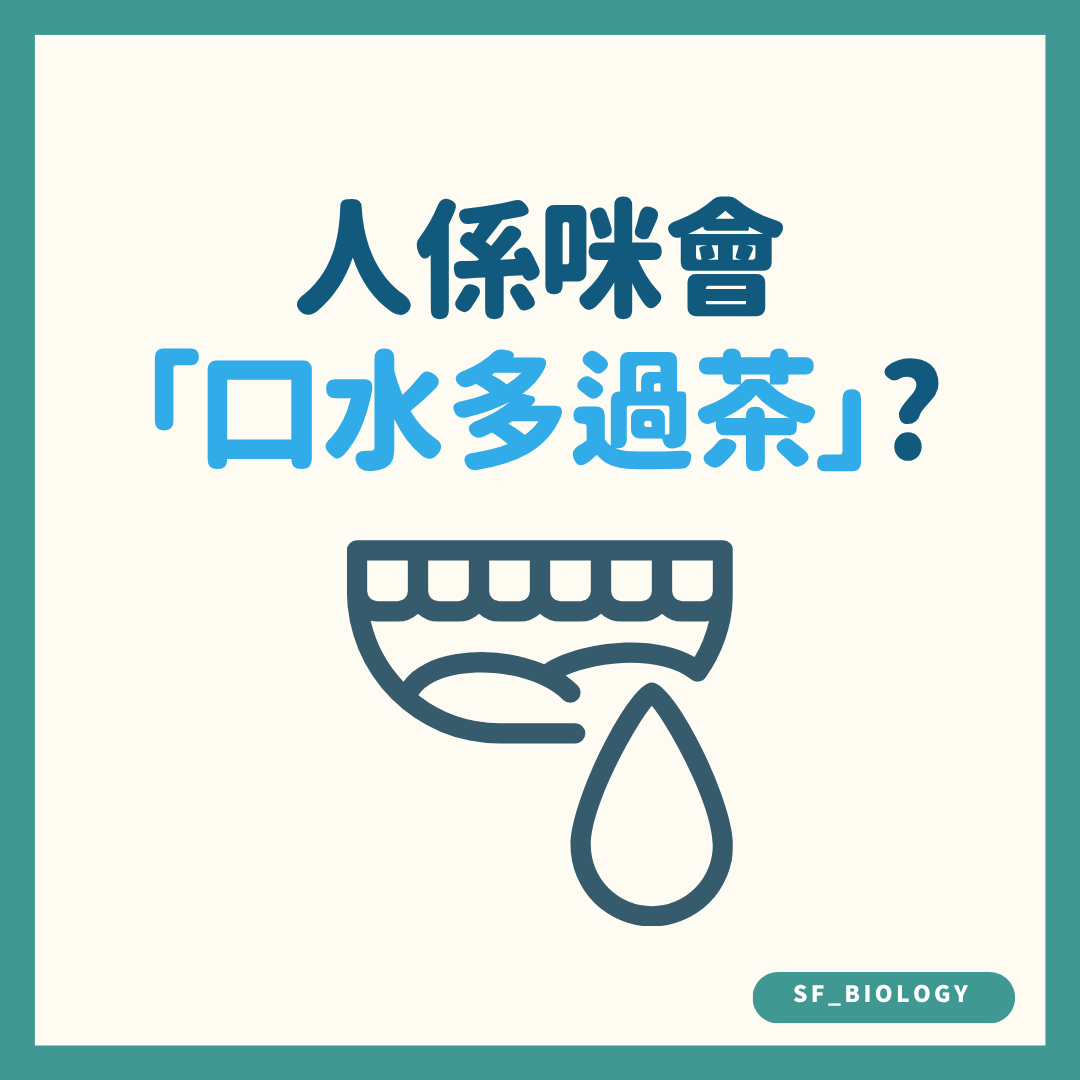 人一生會分泌多少口水的趣味提問插圖