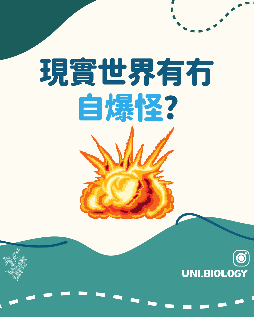 現實世界是否有自爆生物的趣味提問插圖