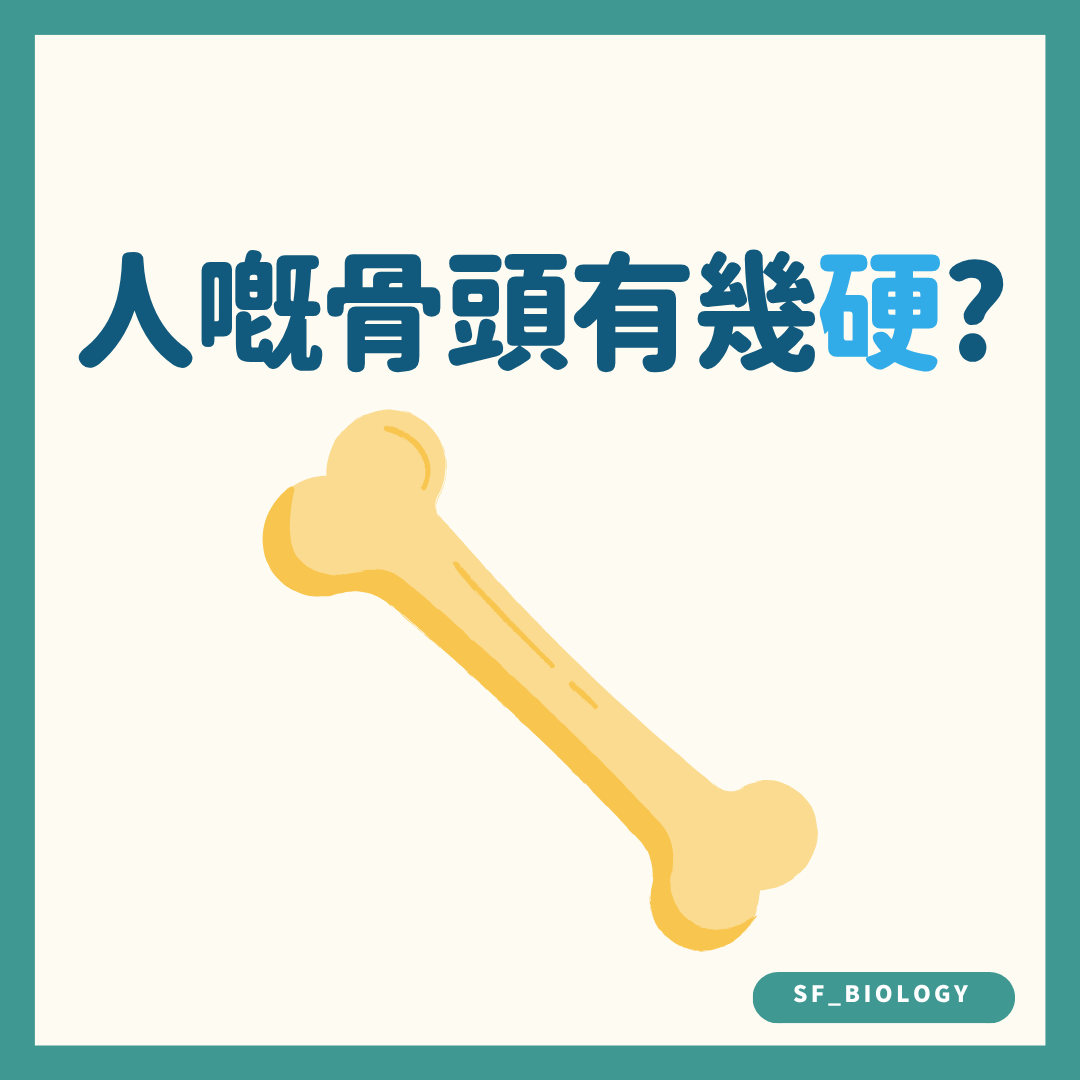 人體骨頭有多硬的趣味提問插圖