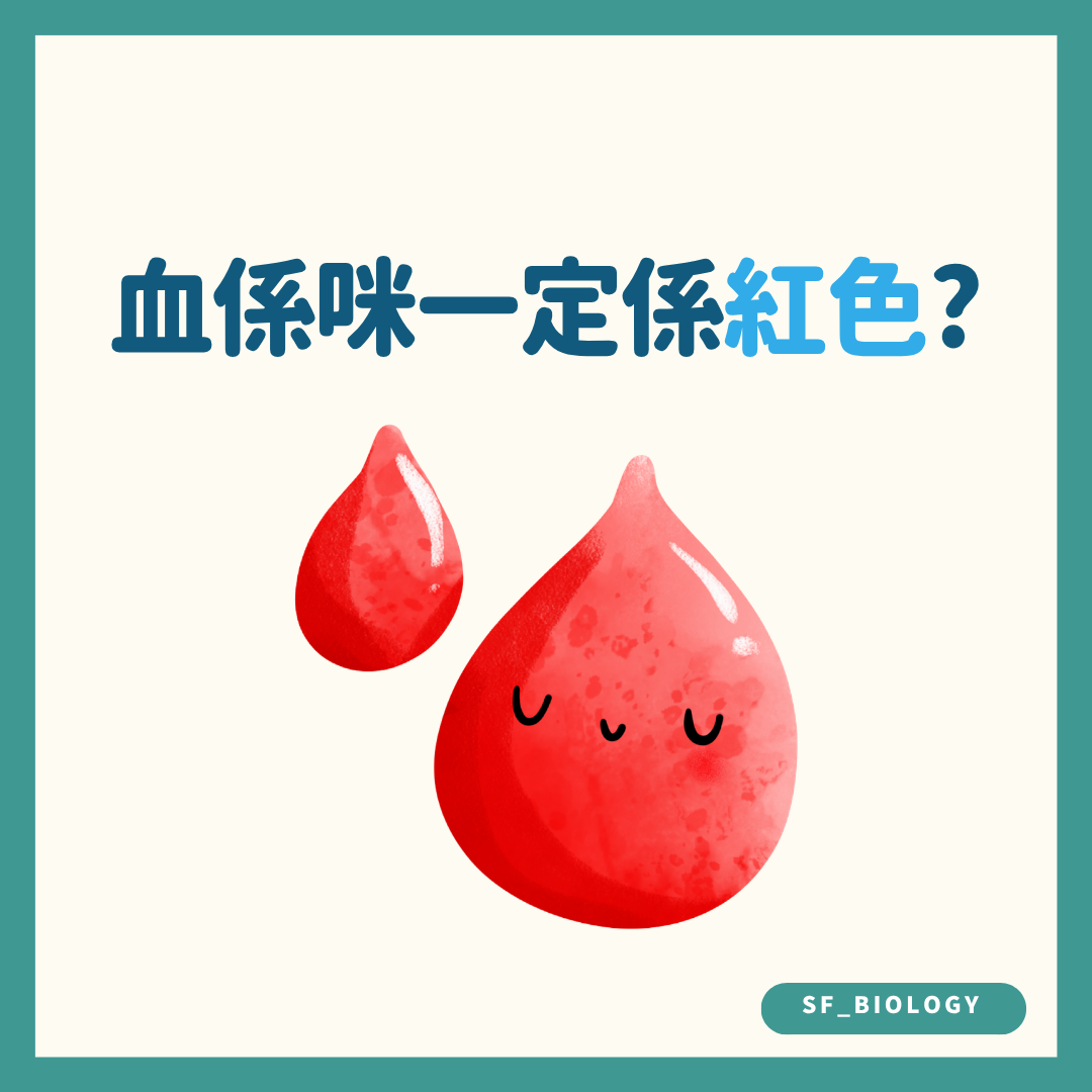 血液是否一定紅色的趣味提問插圖