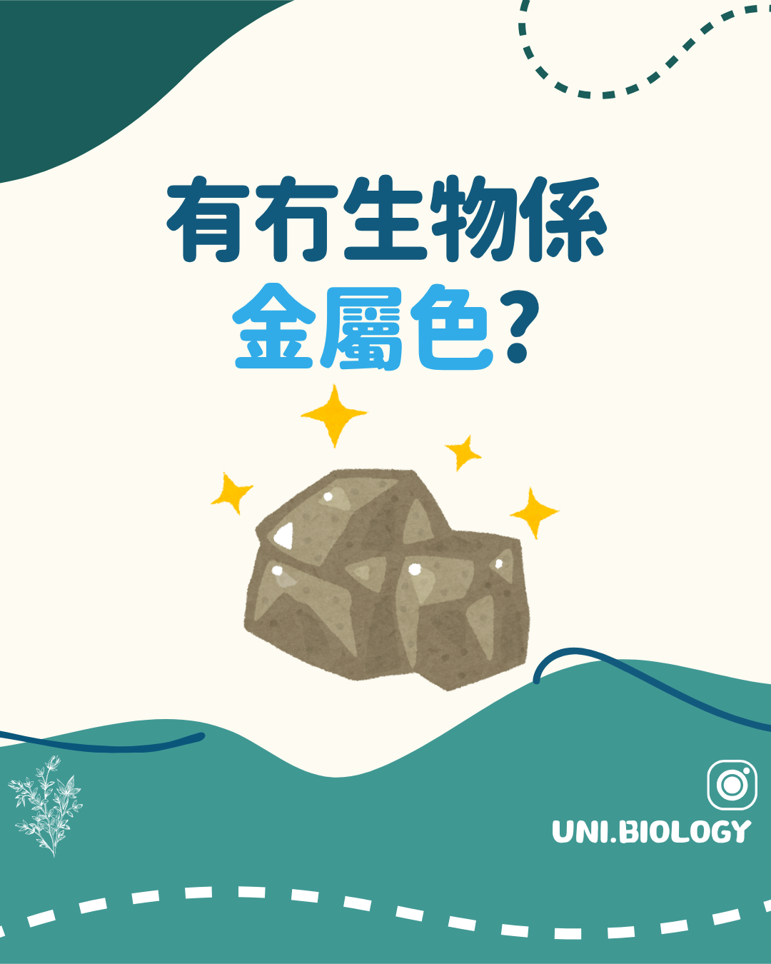 有沒有生物呈現金屬色的趣味提問插圖