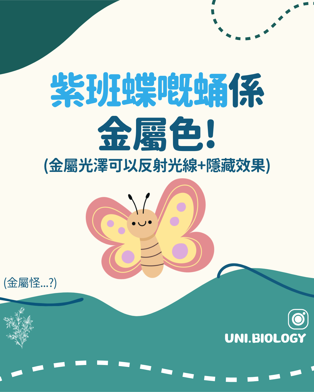 蝴蝶翅鱗微結構產生金屬光澤示意