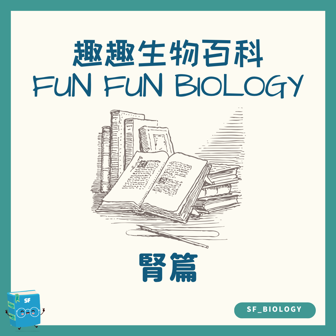 趣趣生物百科腎臟過濾主題封面