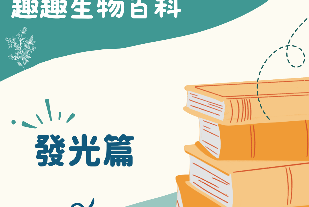 趣趣生物百科人體發光主題封面