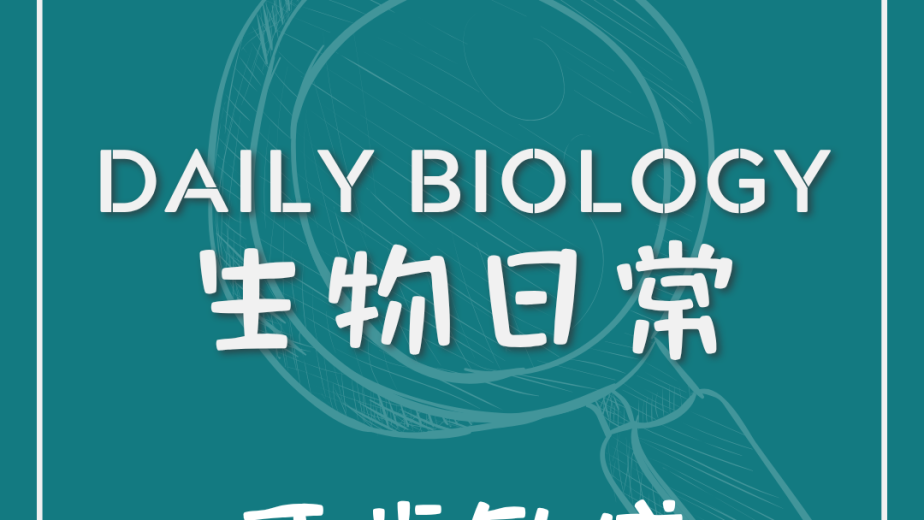 生物日常牙齒敏感主題封面