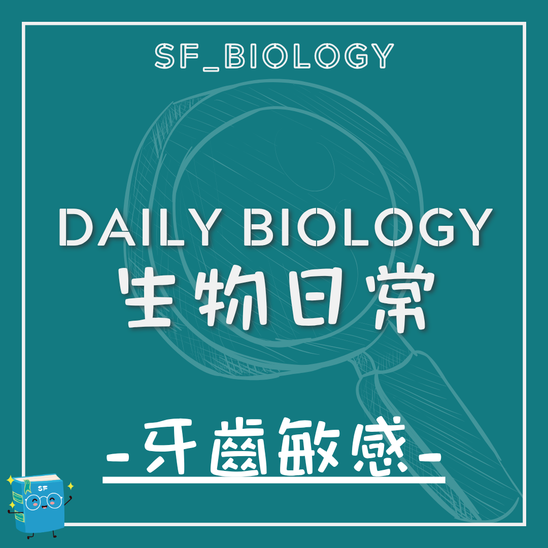 生物日常牙齒敏感主題封面
