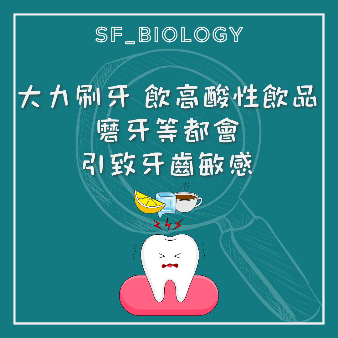 刷牙酸性飲品及磨牙可誘發敏感的列舉