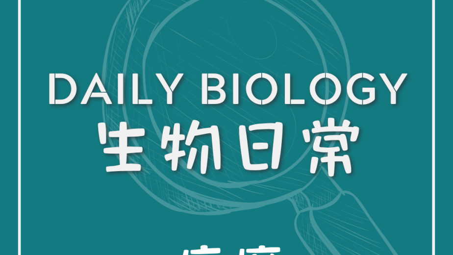 生物日常痕癢與抓癢循環主題封面
