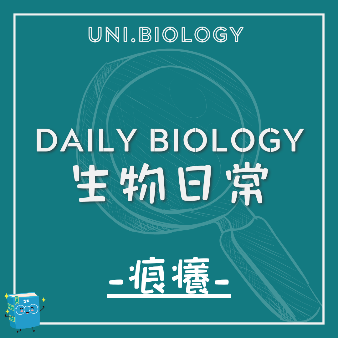 生物日常痕癢與抓癢循環主題封面