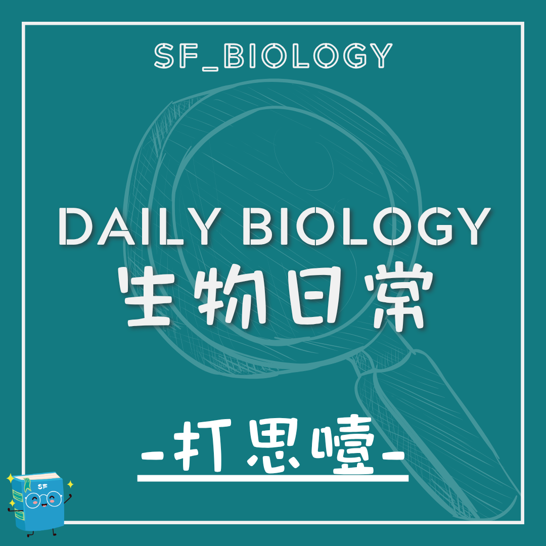 生物日常打思噎主題封面